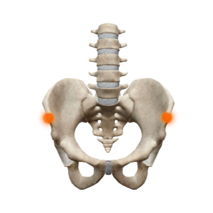 Spina iliaca anterior superior